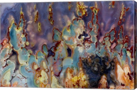 Framed Prudent Man Agate I Print