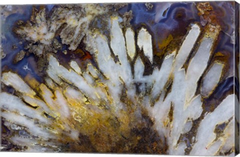 Framed Sagenite Agate Print