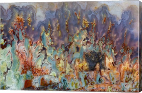 Framed Prudent Man Agate III Print