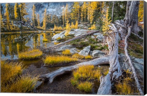 Framed Horseshoe Lake Landscape In The Alpine Lakes Wilderness Print