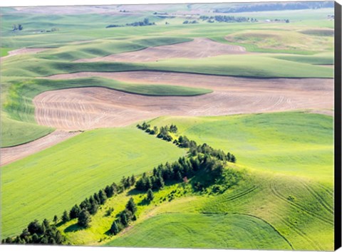 Framed Aerial Shot In The Palouse Region Of Eastern Washington Print