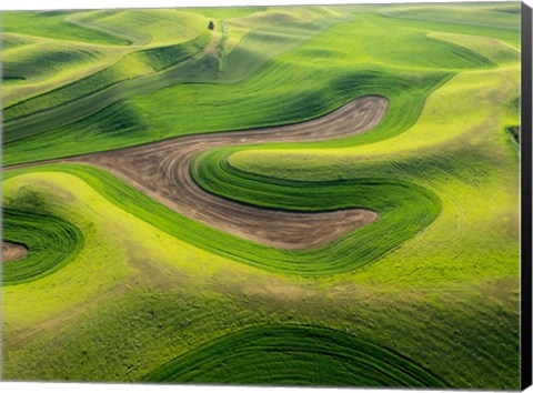 Framed Aerial Of The Palouse Region, Washington Print