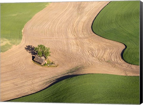 Framed Lone Farmhouse Of The Palouse Region, Washington Print