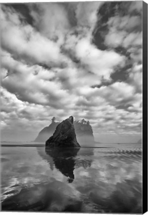 Framed Reflections At Low Tide On Ruby Beach (BW) Print