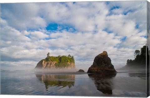 Framed Early Morning Mist And Reflections Of Sea Stacks On Ruby Beach Print