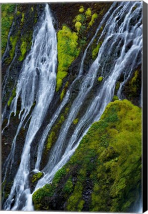 Framed Panther Falls, Washington State Print