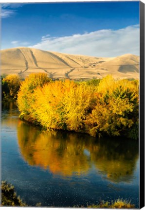 Framed Autumn Color Along The Yakima River Print