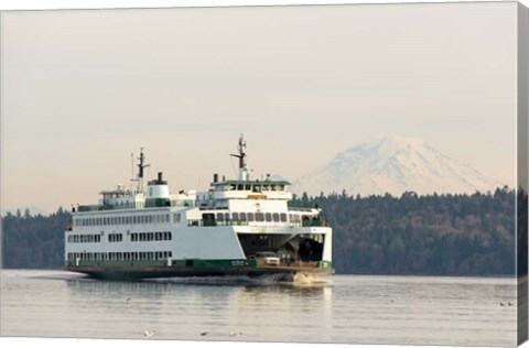 Framed Seattle-Bremerton Ferry Passes In Front Of Mt Rainier Print