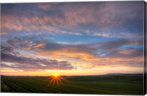 Framed Sunset Cast On Rolling Hills Of Green, Washington State Print