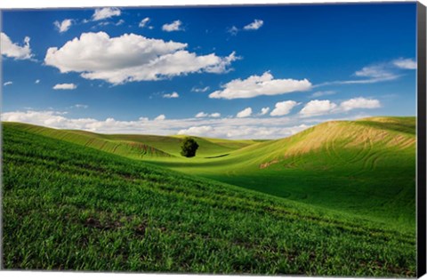 Framed Rolling Wheat Fields With A Lone Tree Print