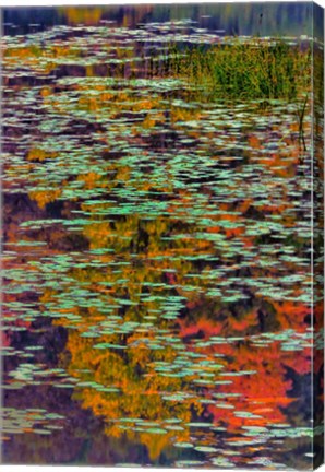 Framed Lily Pads And Autumn Reflections At Babcock State Park Print