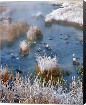 Framed Frost Along White Creek, Wyoming Print