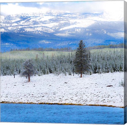 Framed Yellowstone National Park In Winter, Wyoming Print