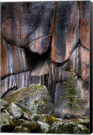 Framed Lichen On Cliff Walls With Single A Tree In The Lamar River Gorge Print