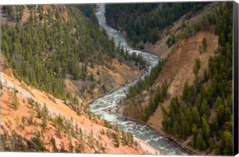 Framed Inspiration Point, Yellowstone River, Grand Canyon Of The Yellowstone Print