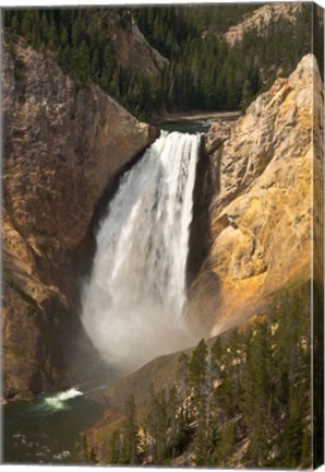 Framed Lower Falls Of The Yellowstone, Lookout Point, Wyoming Print