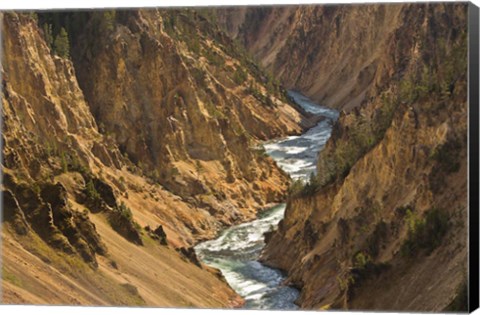 Framed Yellowstone River Landscape, Wyoming Print