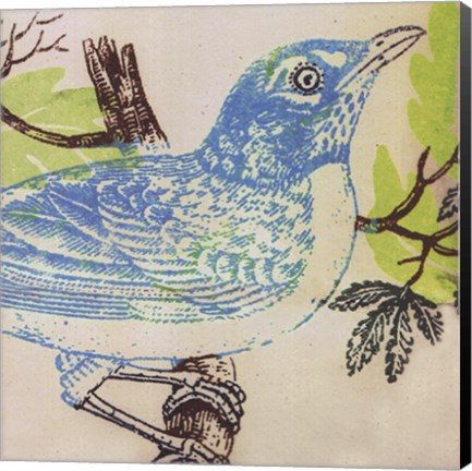 Framed Bluebird Print