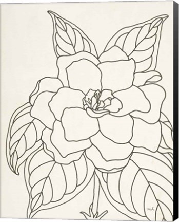 Framed Gardenia Line Drawing Crop Print