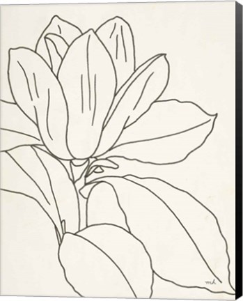 Framed Magnolia Line Drawing v2 Crop Print