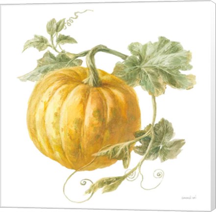 Framed Floursack Autumn V on White Print
