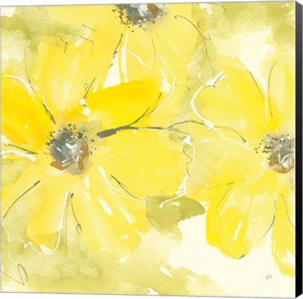 Framed Sunshine Cosmos II Print