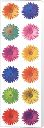 Framed Pop Art Daisies Print