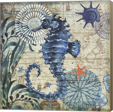 Framed Monterey Bay Seahorse Print