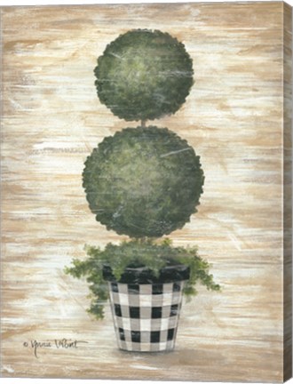 Framed Gingham Topiary Spheres Print