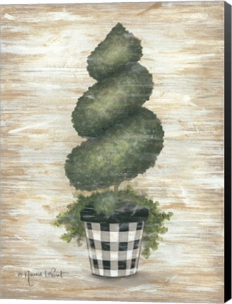 Framed Gingham Topiary Spiral Print