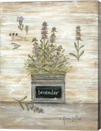 Framed Lavender Botanical Print