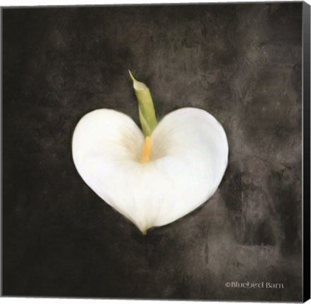 Framed Contemporary Floral Cala Lily Print