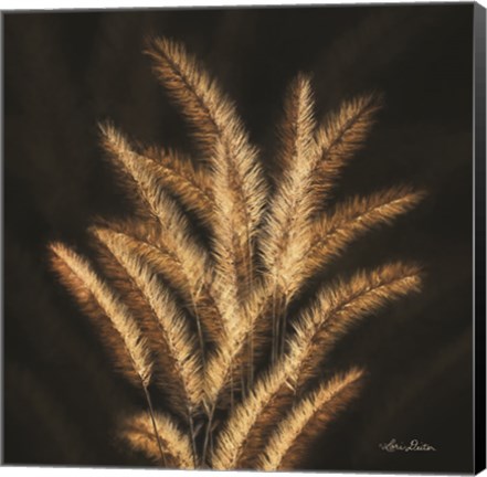 Framed Golden Grass II Print