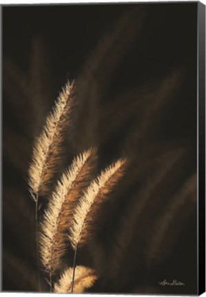 Framed Golden Grass III Print