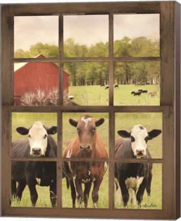 Framed Three Moo View Print