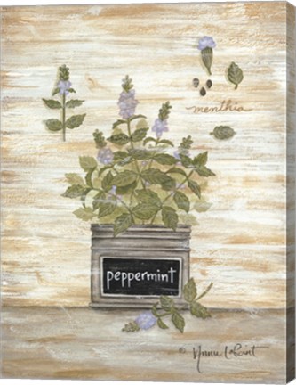 Framed Peppermint Botanical Print