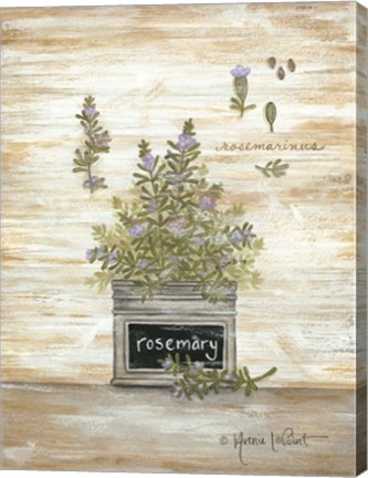 Framed Rosemary Botanical Print