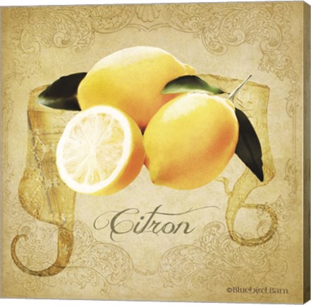 Framed Vintage Lemons Citron Print