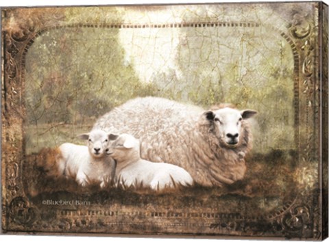 Framed Vintage Ewe and Sleeping Lambs Print