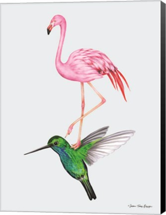 Framed Hummingbird and the Flamingo Print