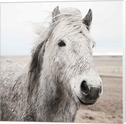 Framed Heida III BW Print