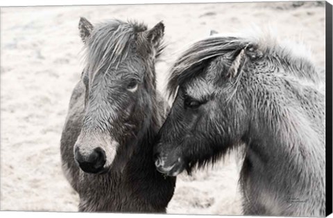 Framed Bjarni and Imir II BW Print