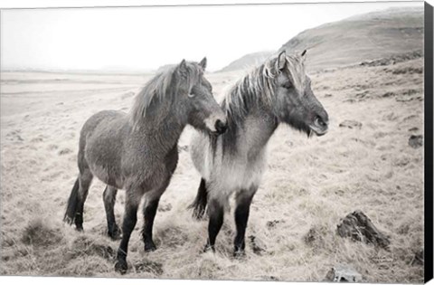 Framed Bjarni and Imir I BW Print