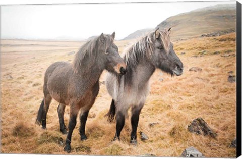 Framed Bjarni and Imir I Print