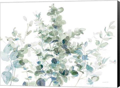 Framed Eucalyptus I Cool Print