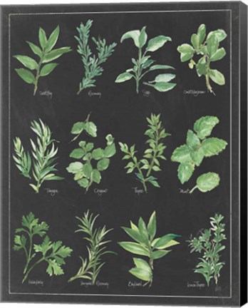 Framed Herb Chart on Black White Border Print