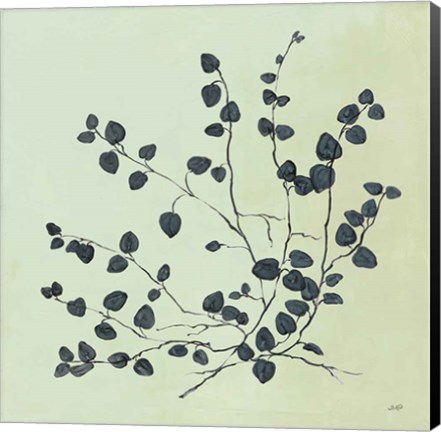 Framed Botanical Study VII Sage Print