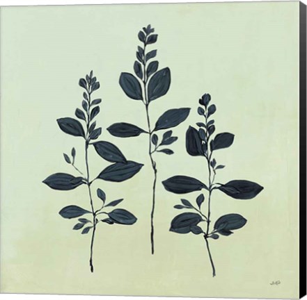 Framed Botanical Study IV Sage Print