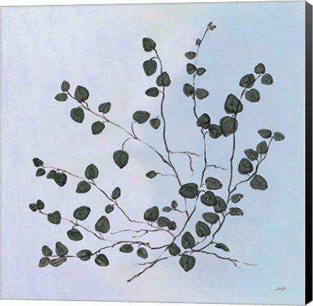 Framed Botanical Study VII Blue Print