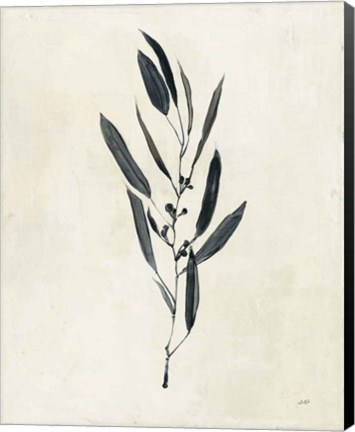 Framed Botanical Study I Print